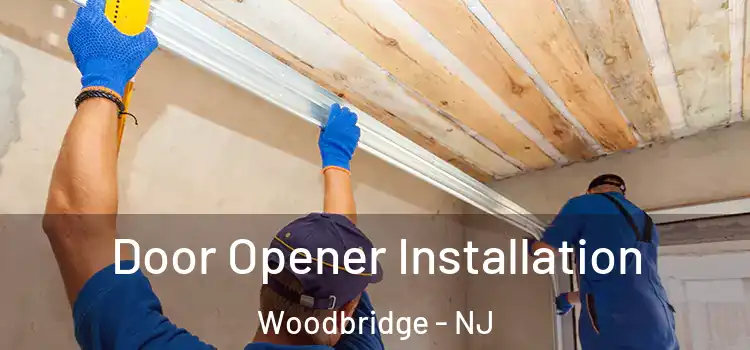 Door Opener Installation Woodbridge - NJ