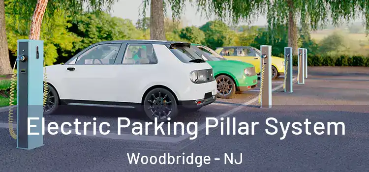 Electric Parking Pillar System Woodbridge - NJ