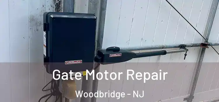Gate Motor Repair Woodbridge - NJ