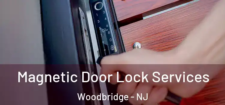 Magnetic Door Lock Services Woodbridge - NJ